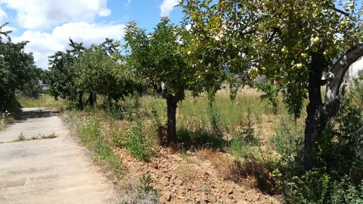 Terreni e lotti in vendita a Cacabelos, imagen 5