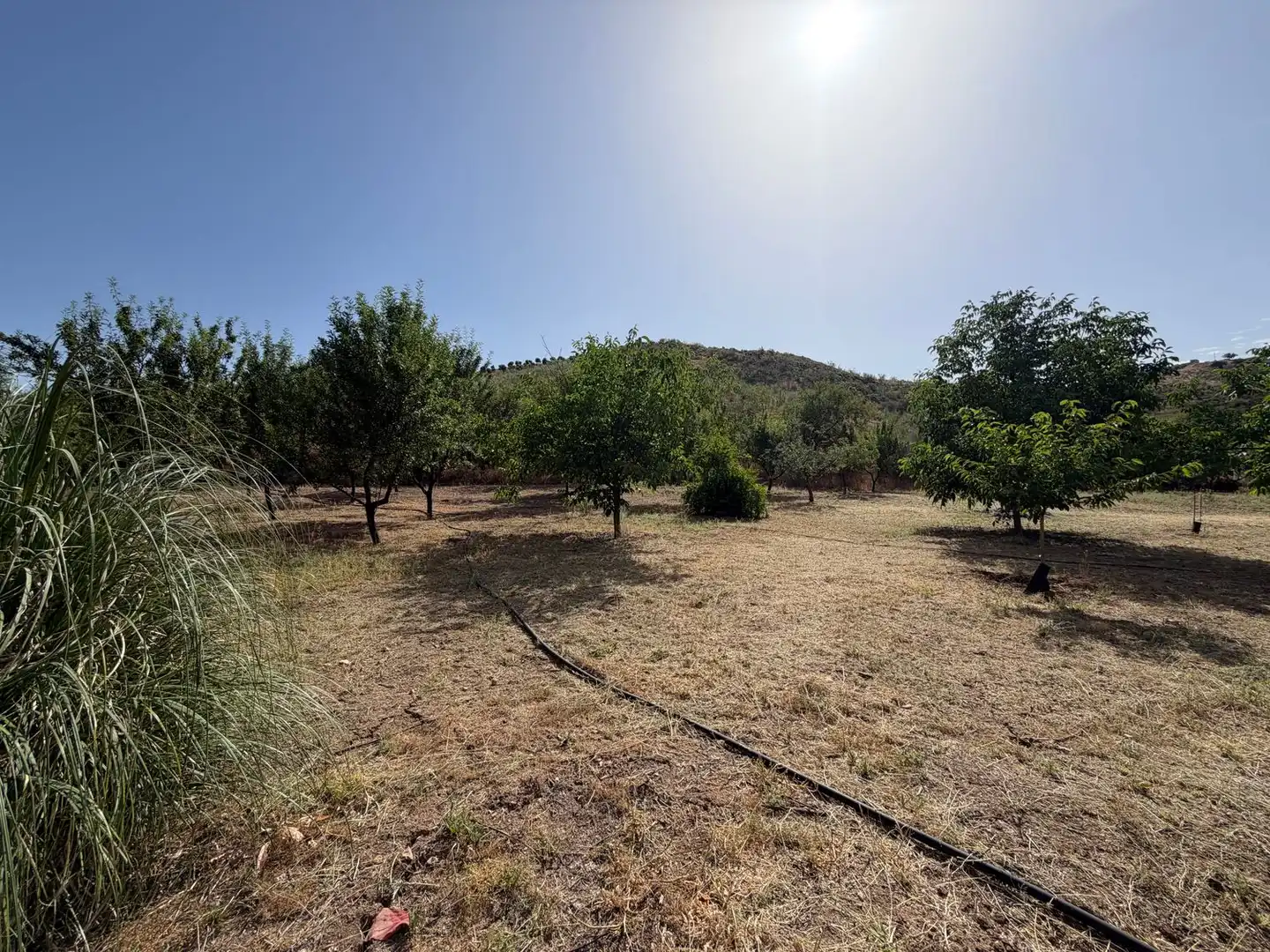 Landhaus mit Garten zum Verkauf in Camino Cerrajón Alto, imagen 17