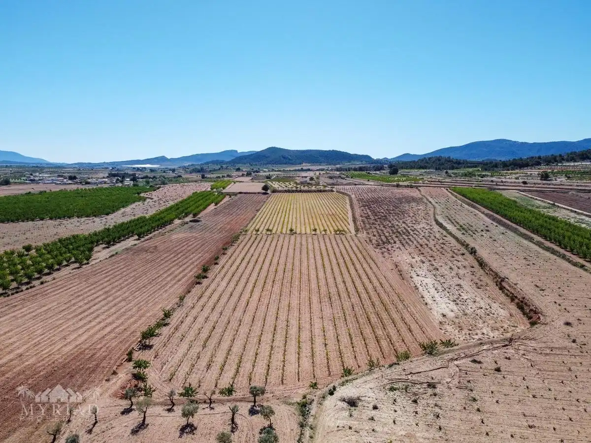 Terreno residencial en venta en El Pinós / Pinoso, imagen 23