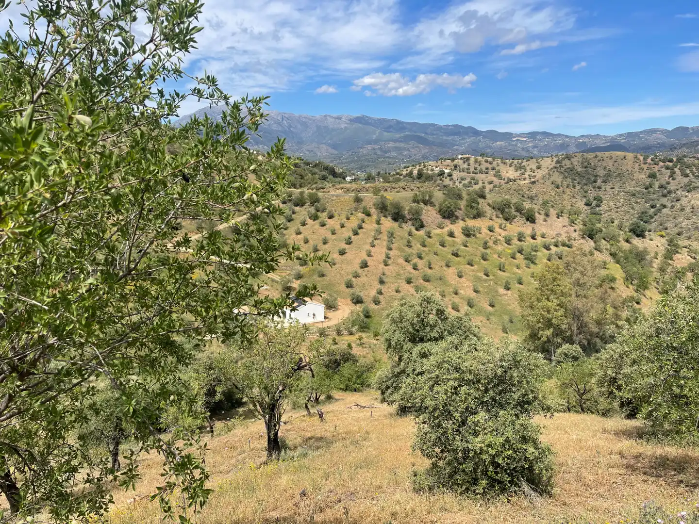 Vista exterior de Terreno en venta en Guaro