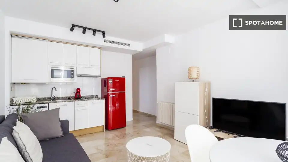 Appartement à louer à Patraix