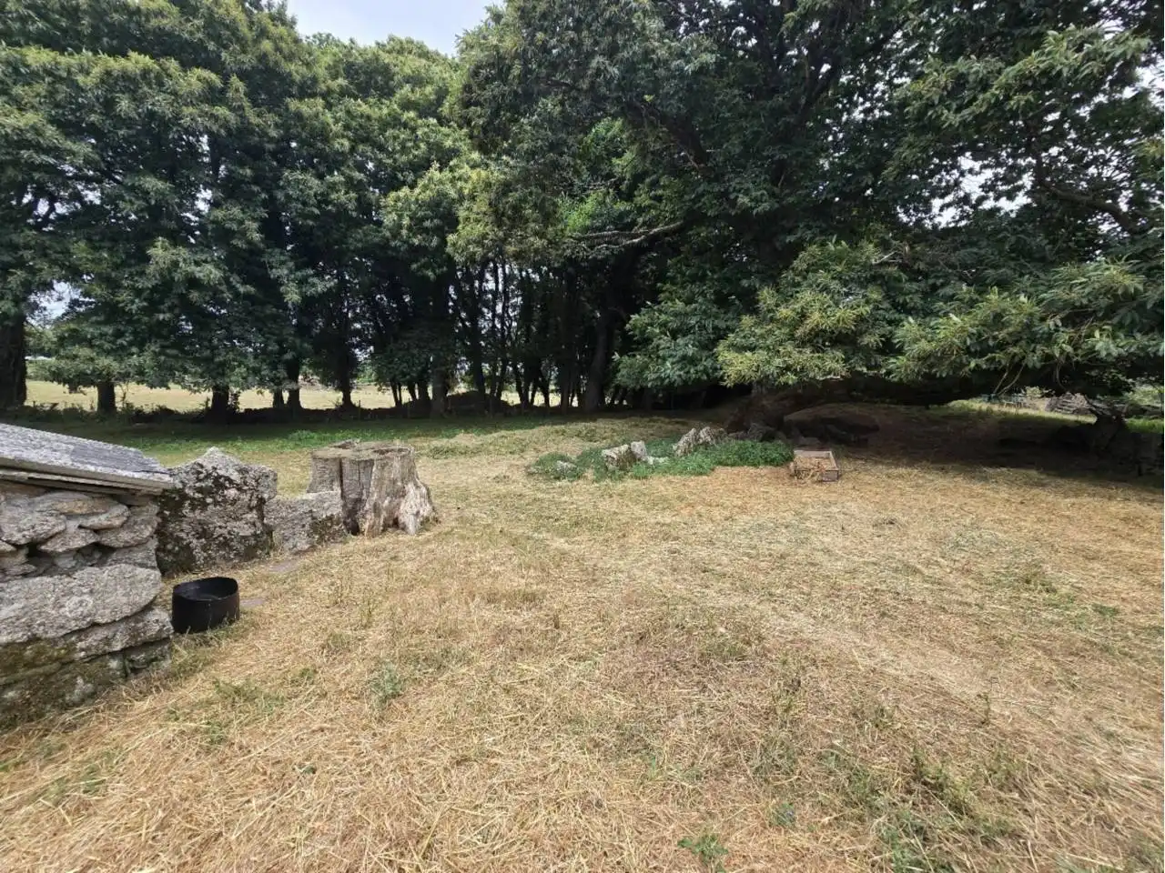 Casa o chalet en venta en Lugo