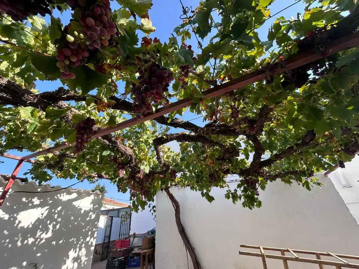 Jardí de Casa o xalet en venda en Álora amb Calefacció, Terrassa i Traster