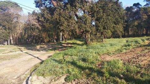 Foto 4 de Piso en venta en Residencial Park, Maçanet de la Selva