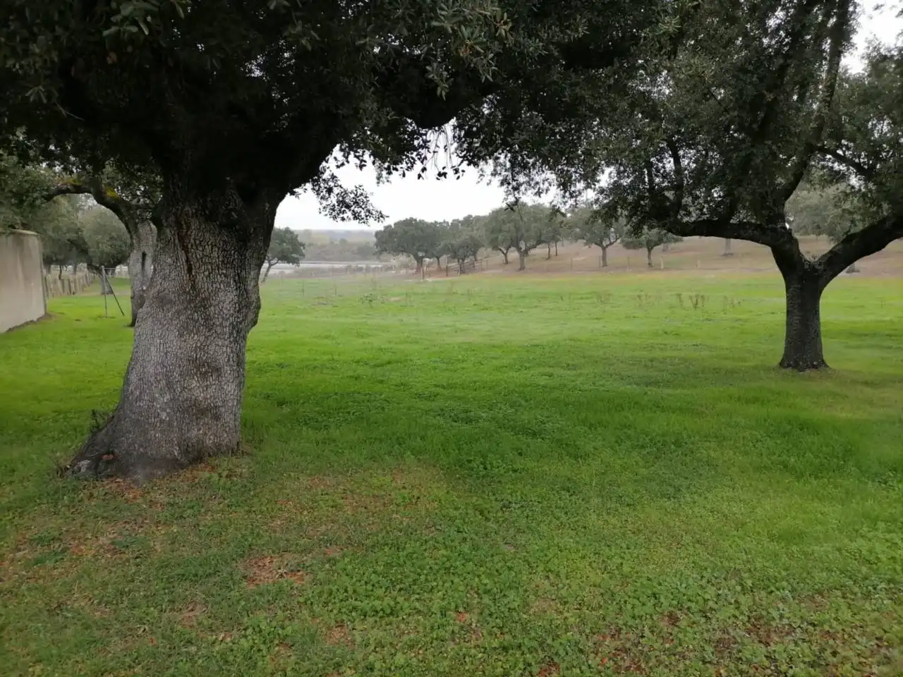 Terreno en venta en Poligono 1, La Alameda de Gardón