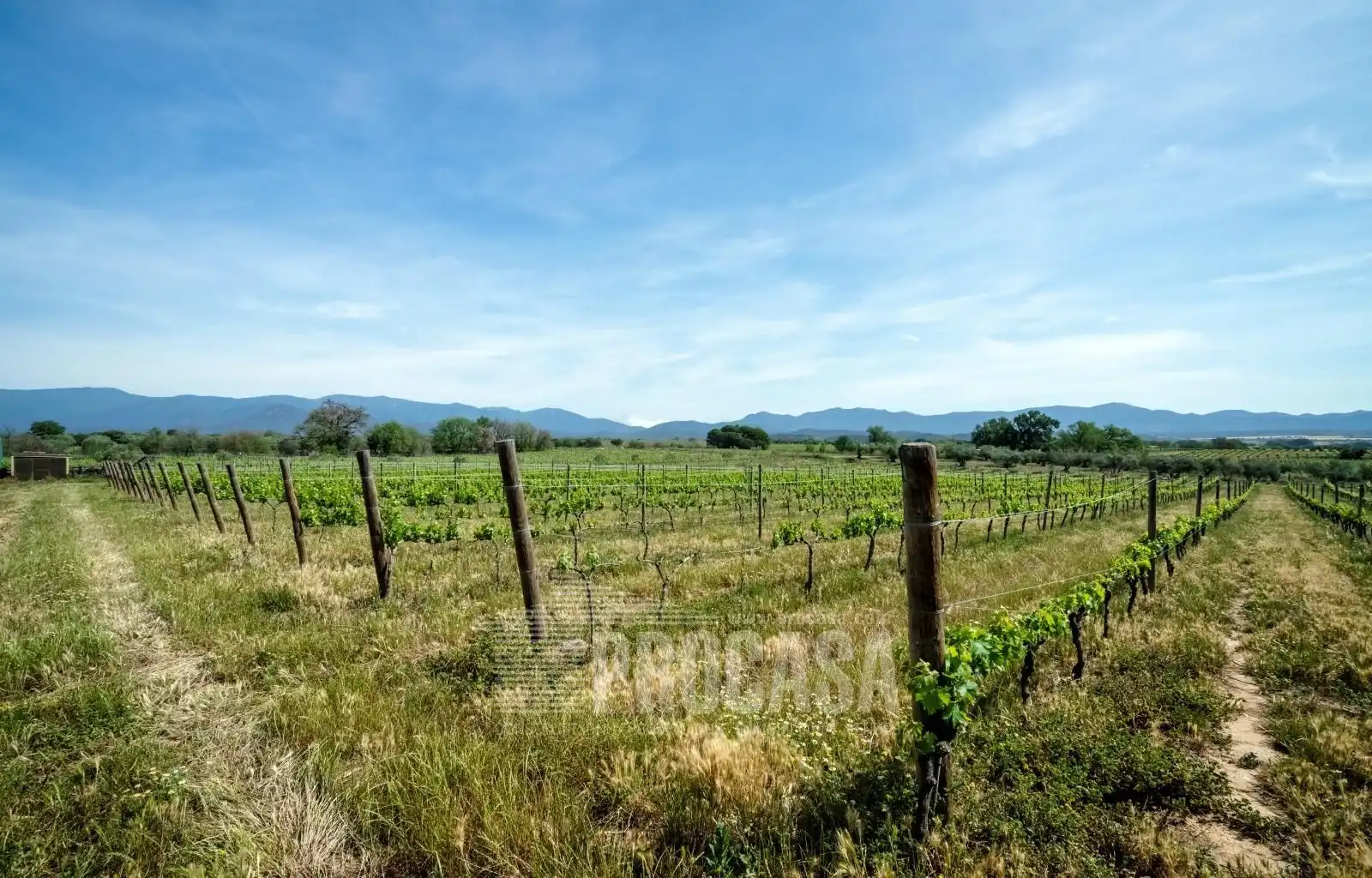Houses for sale in Masarac i Vilarnadal  with Air Conditioner, Storage room and Swimming Pool