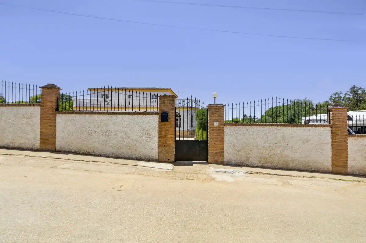 Vista exterior de Casa o xalet en venda en Carmona amb Aire condicionat, Calefacció i Jardí privat
