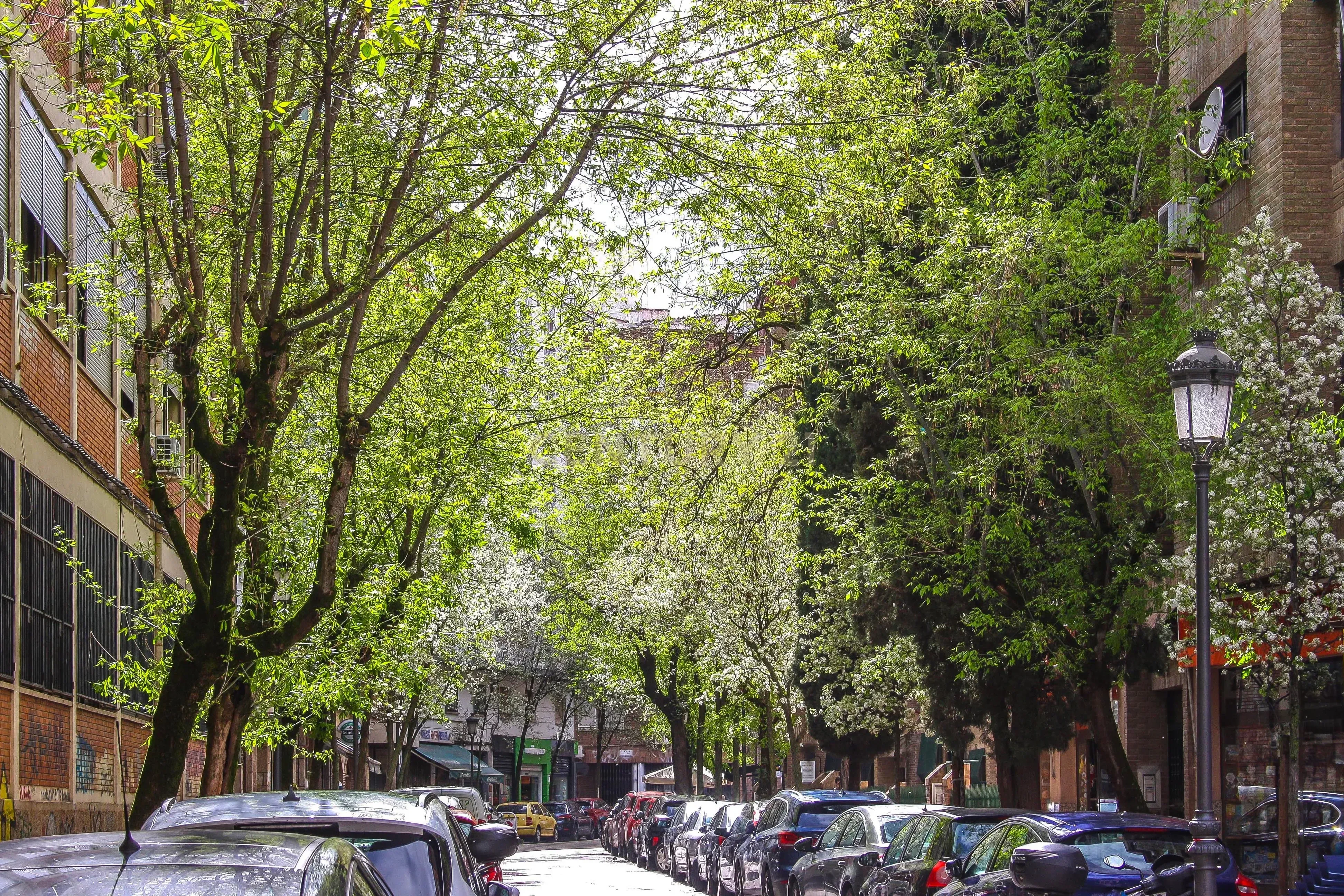 Exterior view of Office for sale in Cáceres Capital  with Air Conditioner
