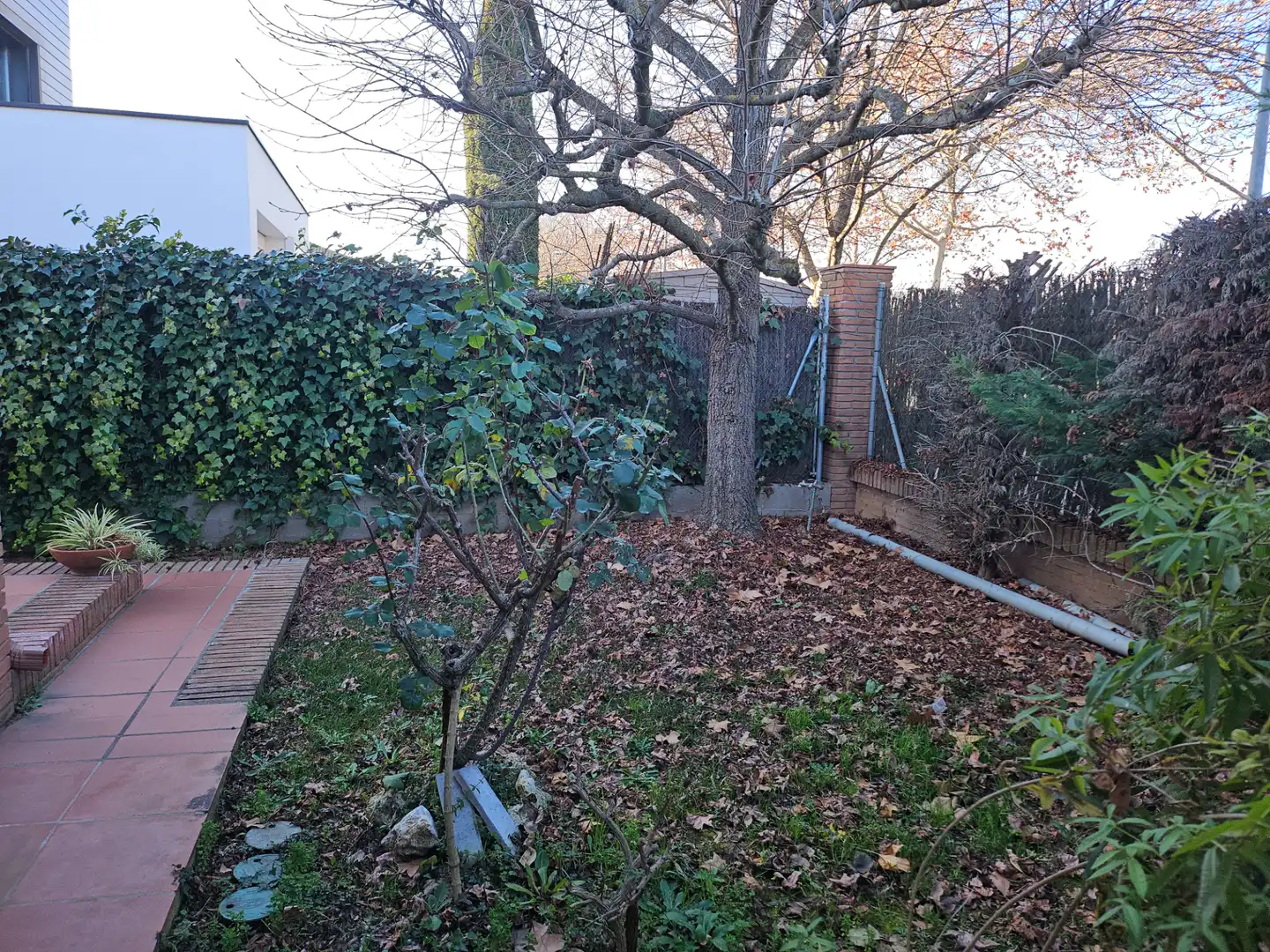 Jardí de Casa o xalet en venda en Cardedeu, Barcelona