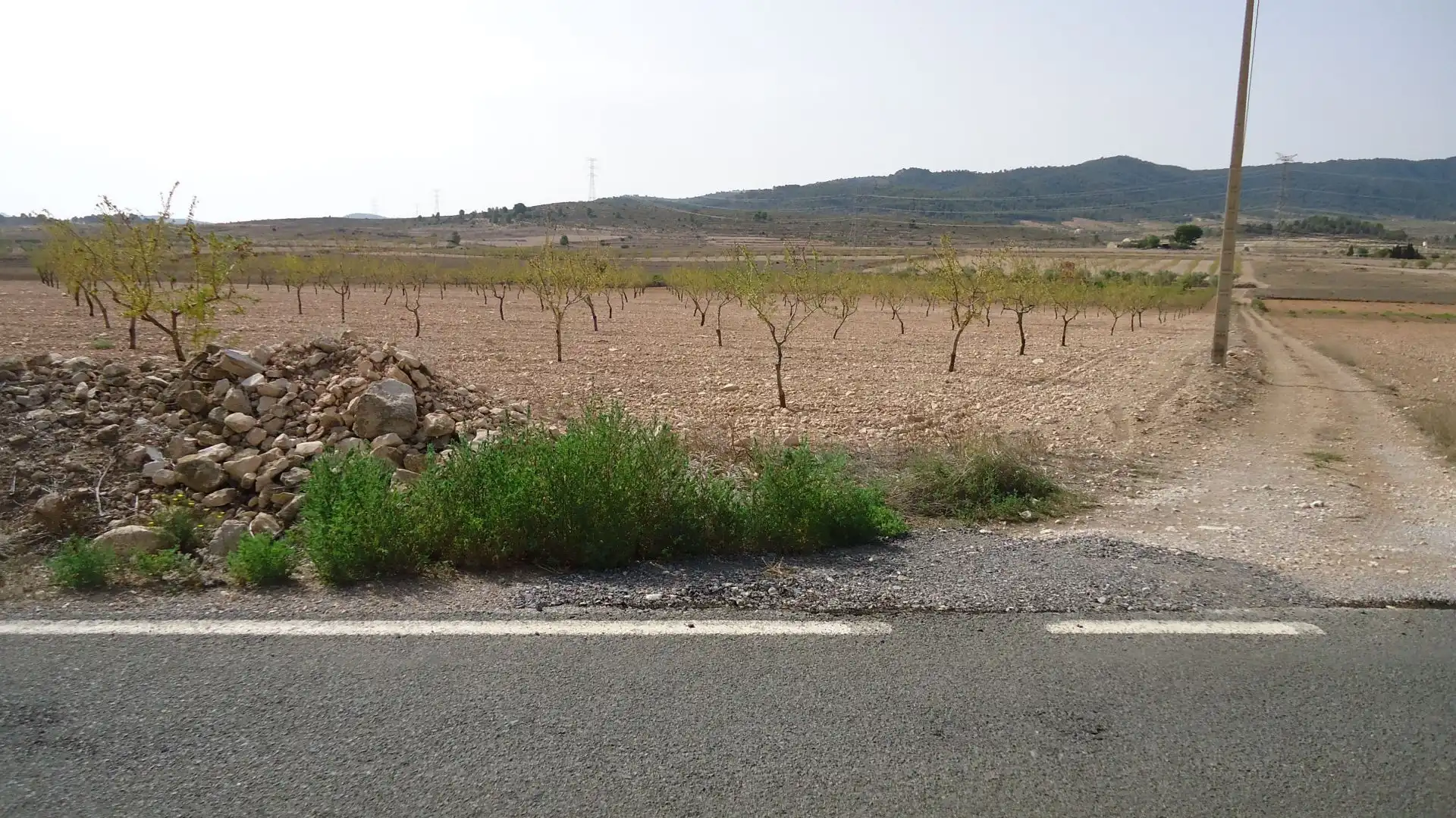 Rustikales Grundstück zum Verkauf in Jumilla, imagen 4