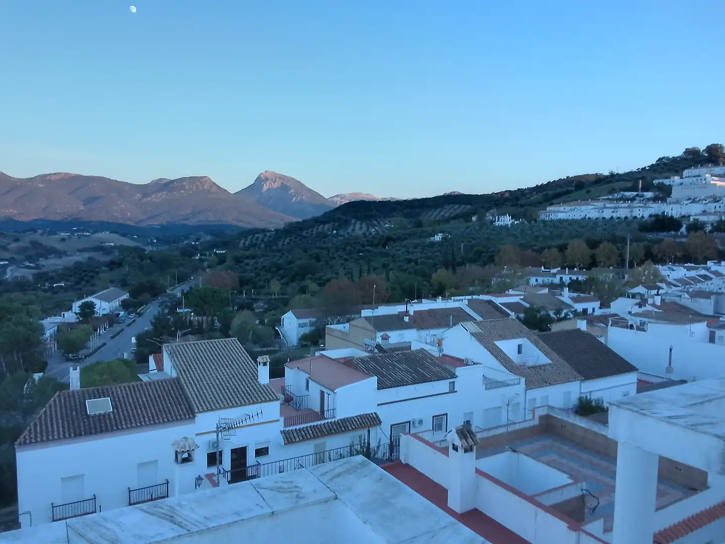 Vista exterior de Casa o chalet en venta en Prado del Rey con Jardín privado, Terraza y Amueblado