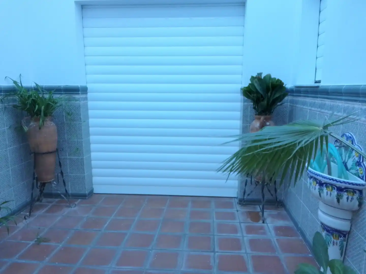 Vista exterior de Casa o chalet en venta en Prado del Rey con Jardín privado, Terraza y Amueblado