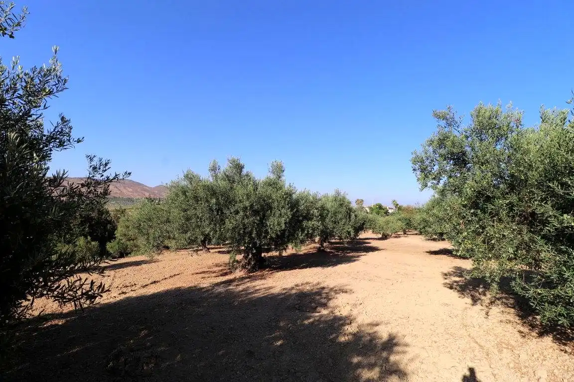 Finca rústica en venta en Alhaurín El Grande