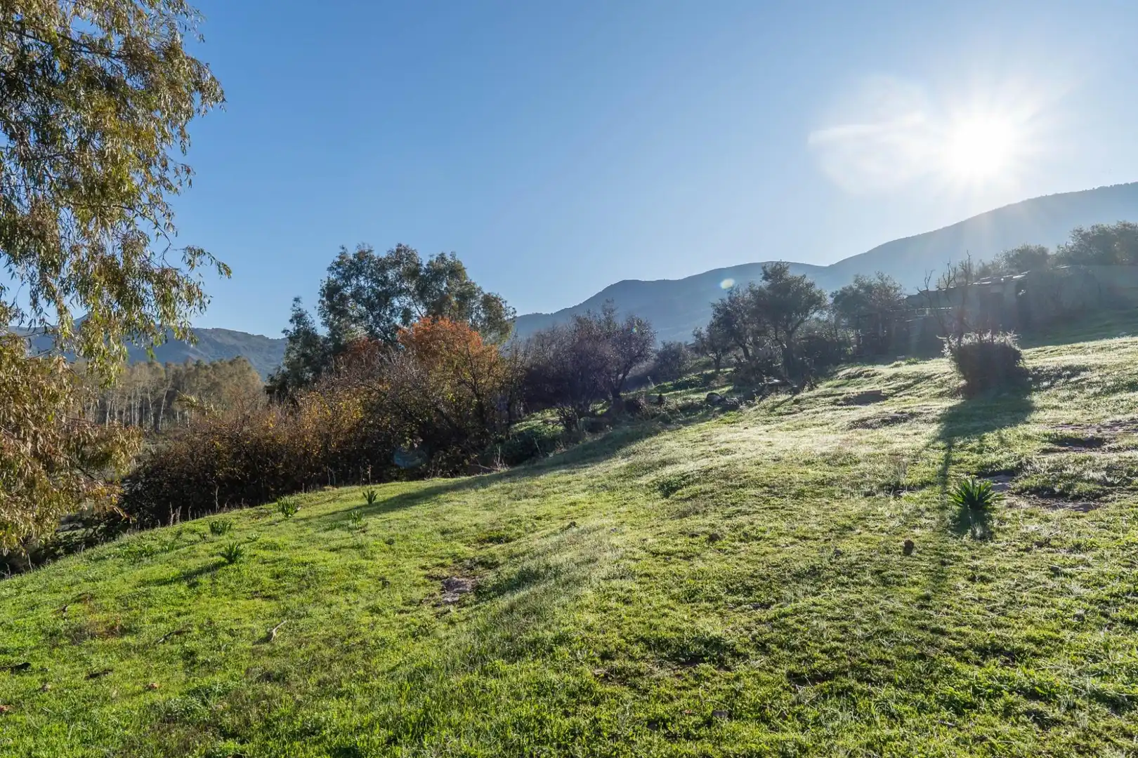 Rural land for sale in Órgiva, imagen 18