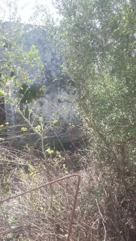 Finca rústica en venta en Vejer de la Frontera