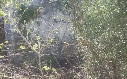 Photo 5 of Country house for sale in El Palmar, Cádiz