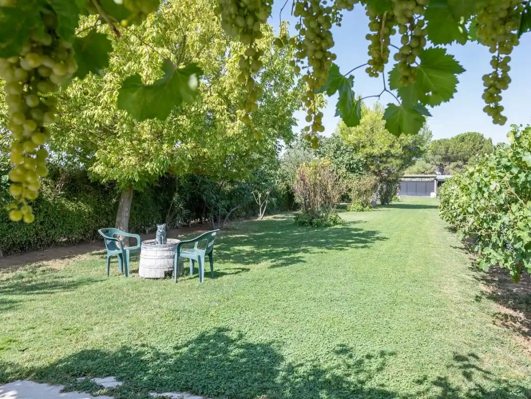 Xalet amb terrassa en venda a Cam. Viejo del Casar, imagen 64