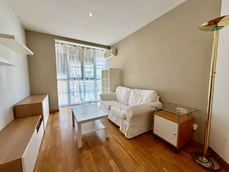 Sala de estar de Piso en venta en Madrid con Aire acondicionado, Calefacción y Jardín privado