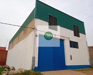 Exterior view of Industrial buildings for sale in Badajoz Capital