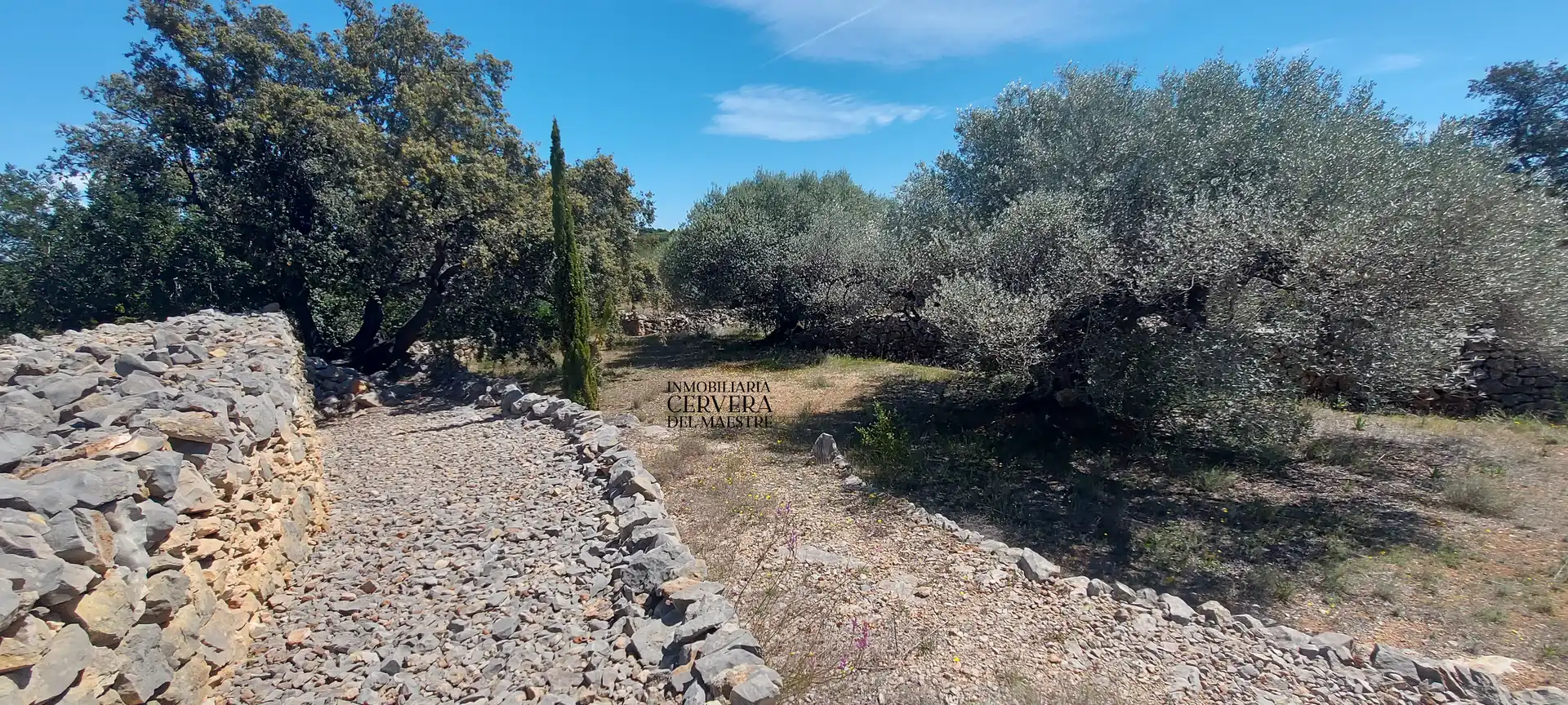 Terreno rustico in vendita a Cervera del Maestre, imagen 12