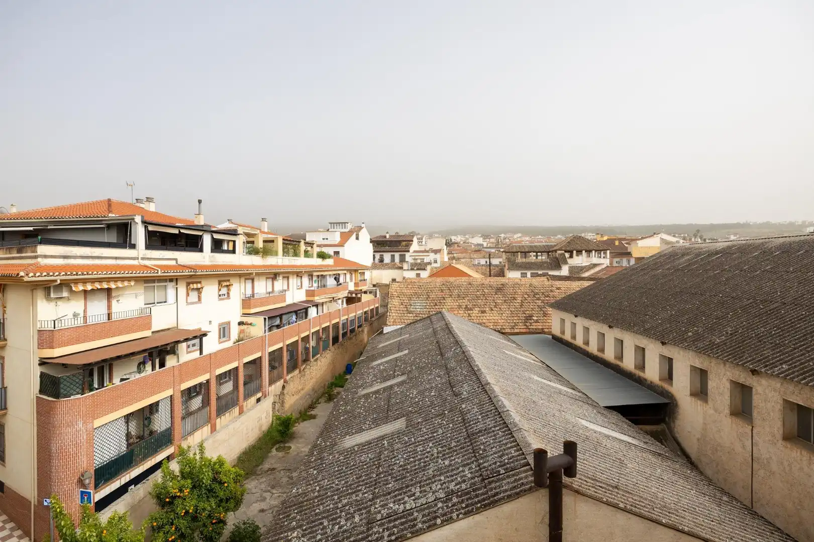 Piso con terraza en venta en Calle GONZALO DE BERCEO 12, imagen 27
