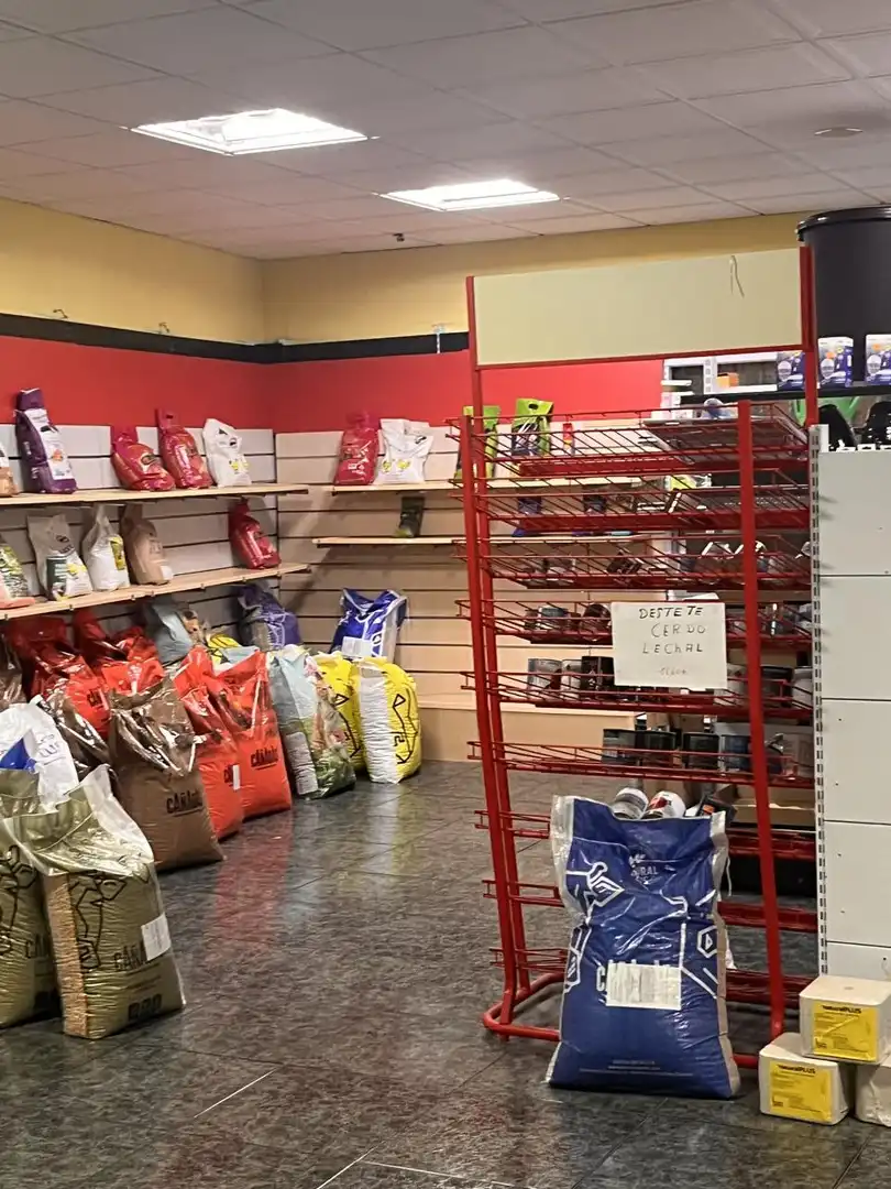 Commercial properties for sale in Jarandilla de la Vera