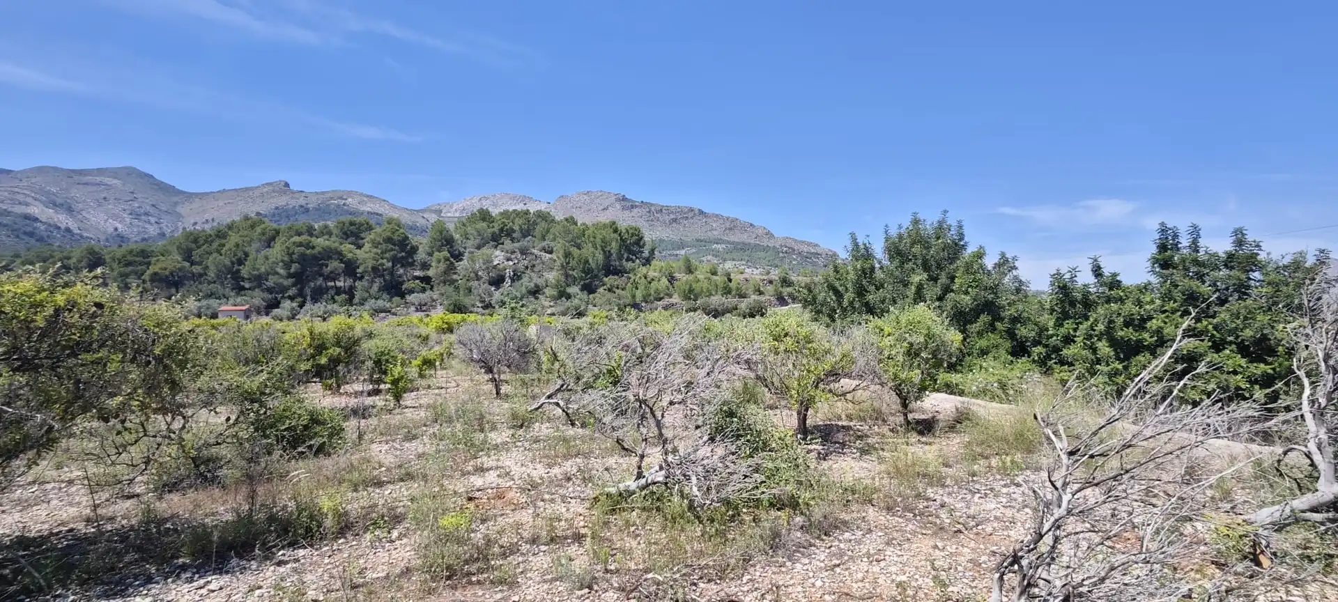 Residential land for sale in Tormos, imagen 40
