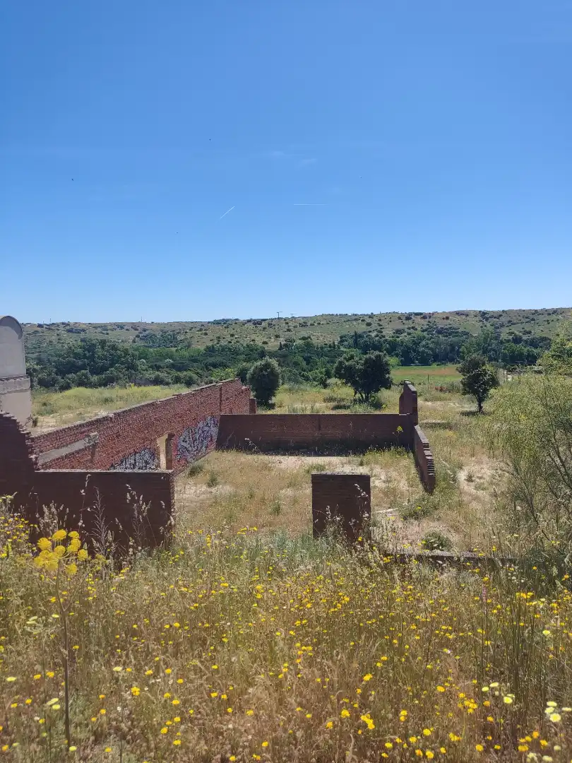 Land for sale in Navalcarnero