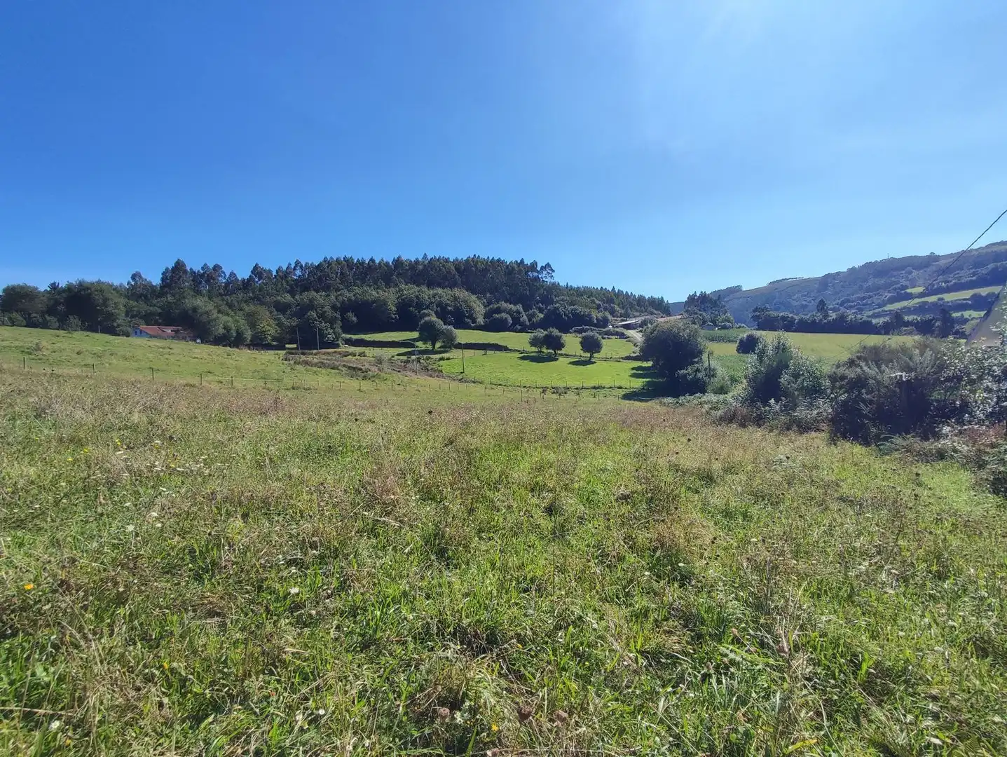 Terreny residencial en venda a Lugar Golmar Medio, imagen 4