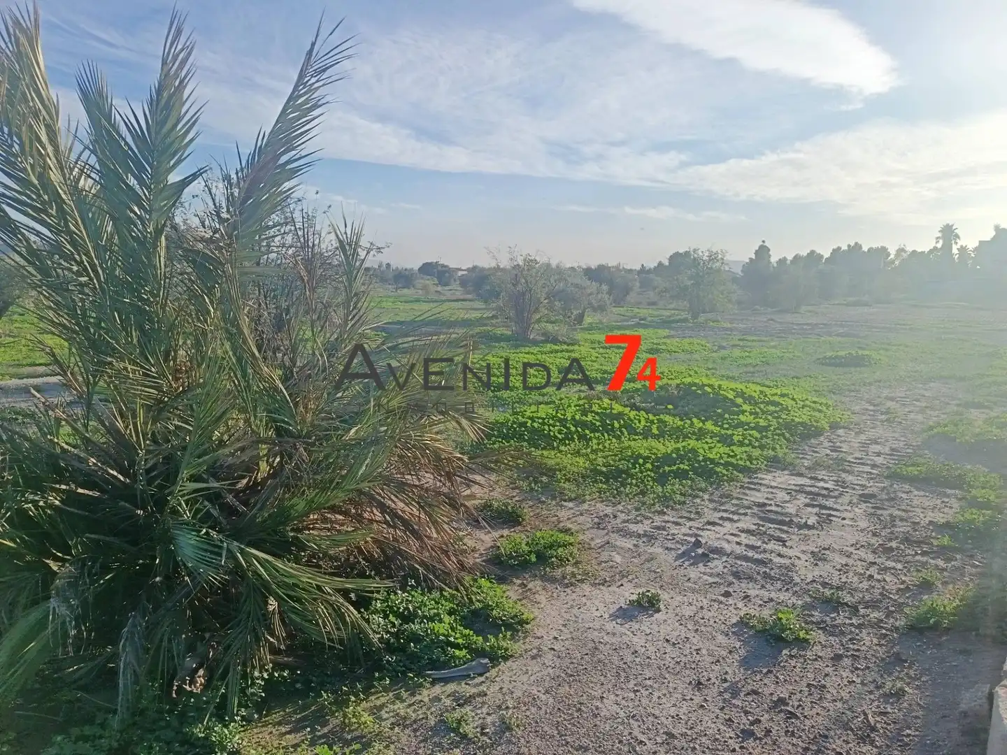 Houses for sale in Lorca