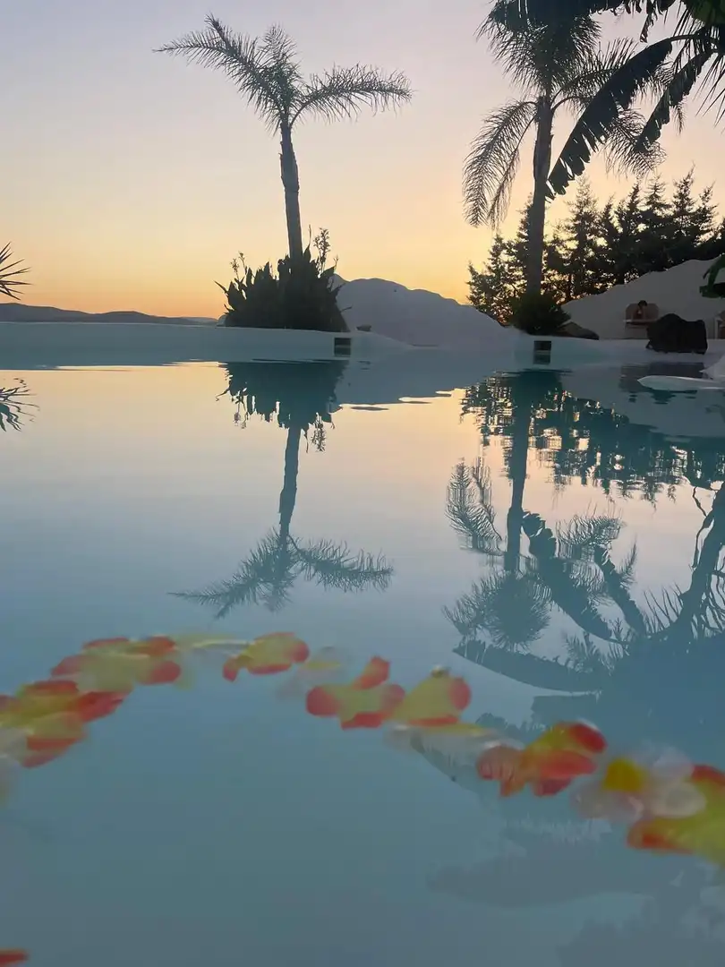 Piscina de Edificio en venta en Los Santos de Maimona