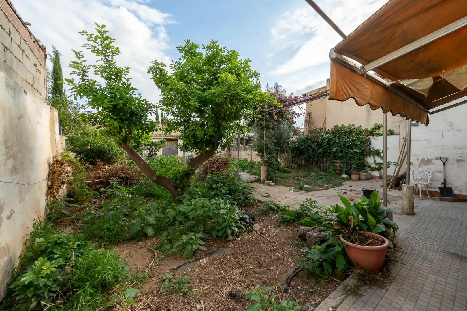 Erdgeschosswohnung mit Garten zum Verkauf in Carrer RAMON LLULL, imagen 22