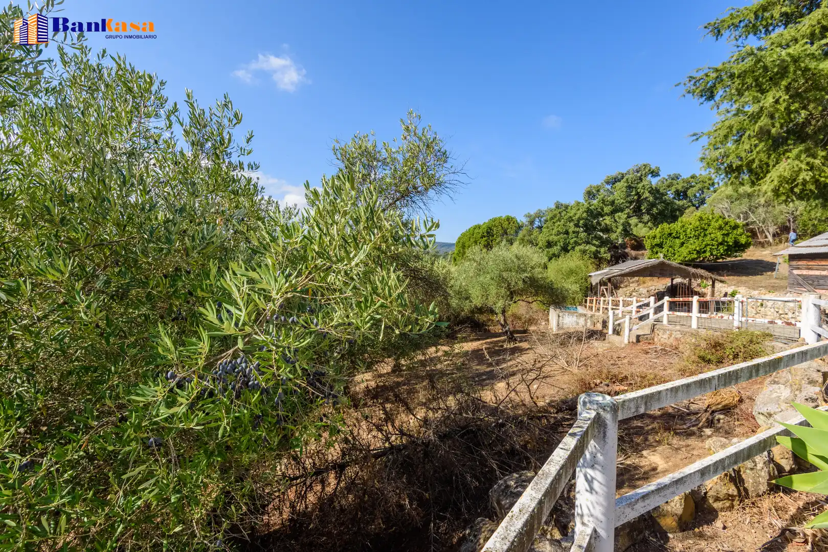 Casa o xalet en venda en Cortes de la Frontera amb Calefacció, Jardí privat i Moblat