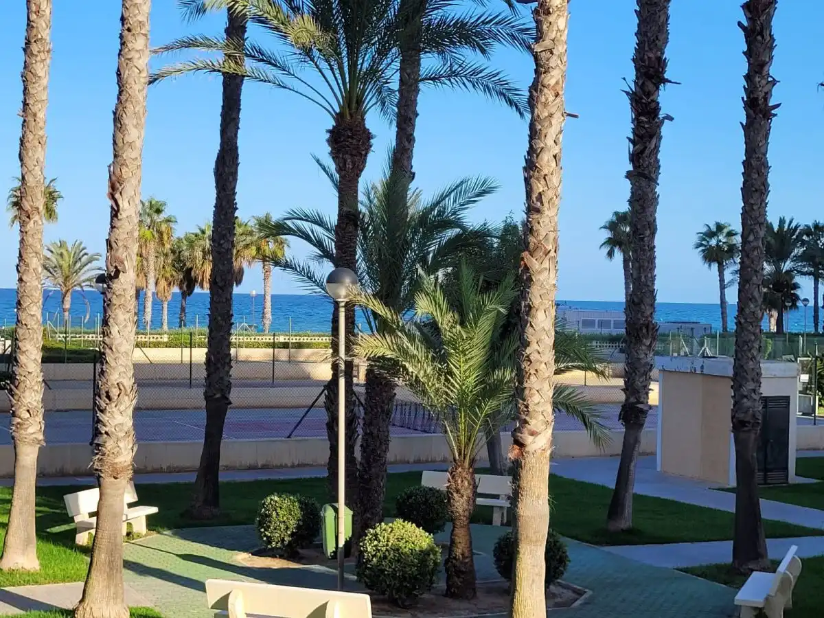 Apartments for rent in Calle del Músico Antón Roch, Agua Amarga - Urbanova