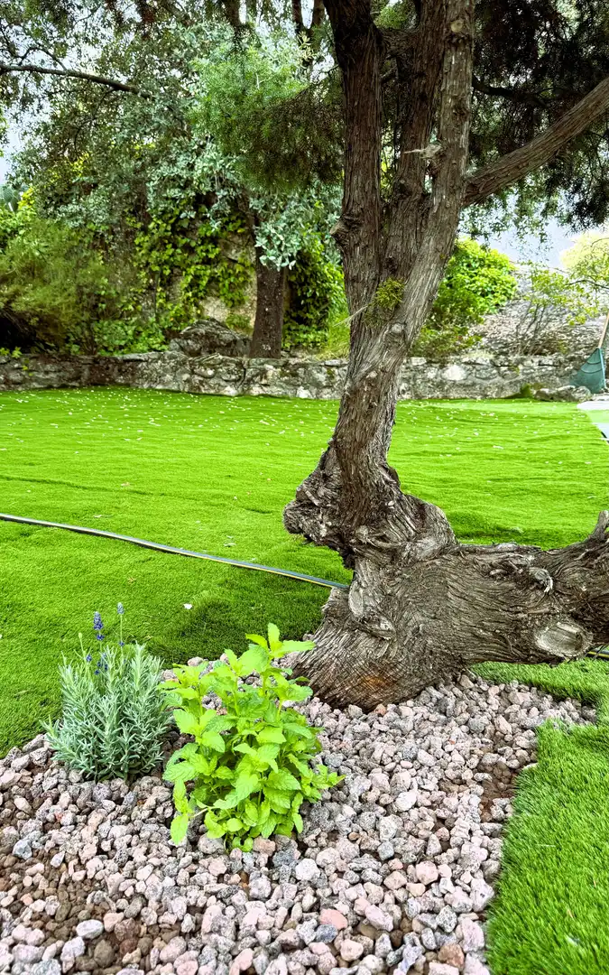 Jardí de Casa o xalet en venda en Collado Villalba amb Calefacció, Jardí privat i Terrassa