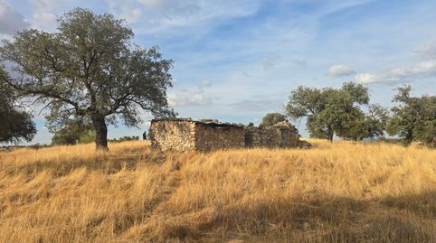 FINCA RÚSTICA EN PEDROCHE
