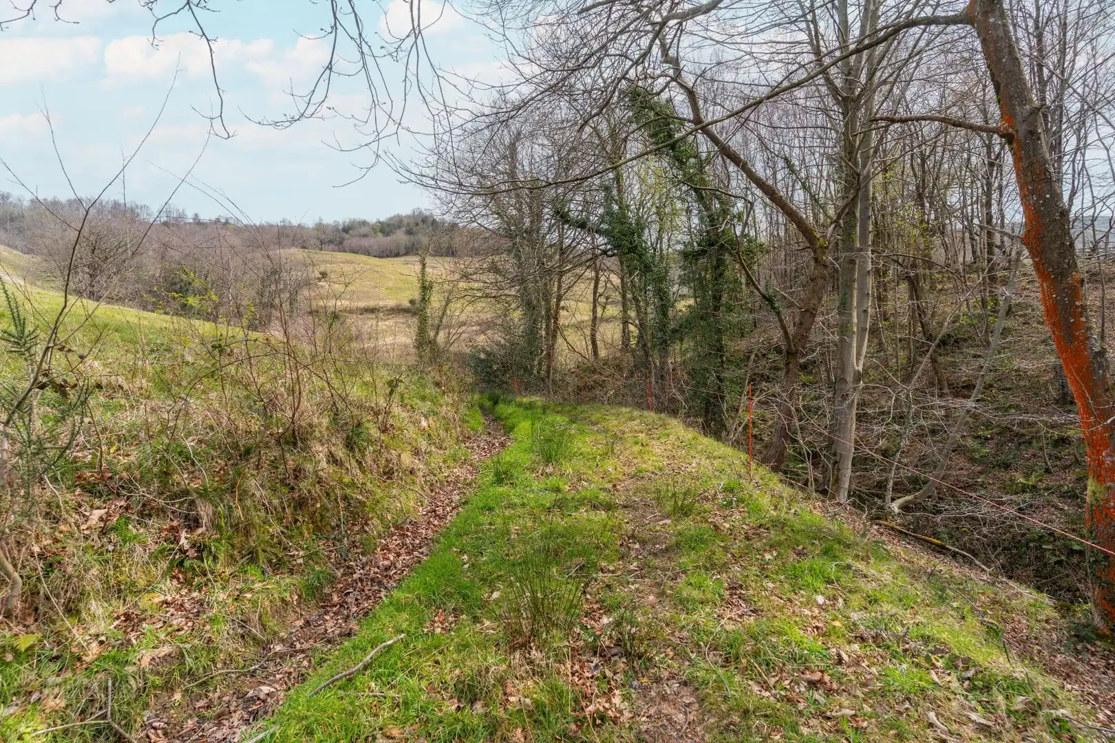 Land for sale in Riosa