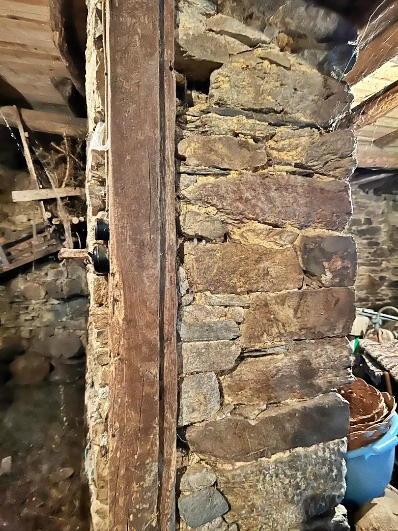 Außenansicht von Haus oder Chalet zum Verkauf in O Saviñao 