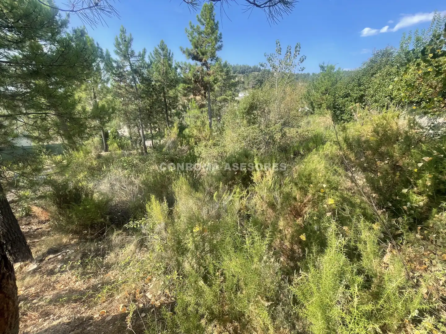 Terreno residenziale in vendita a Riudarenes, imagen 8