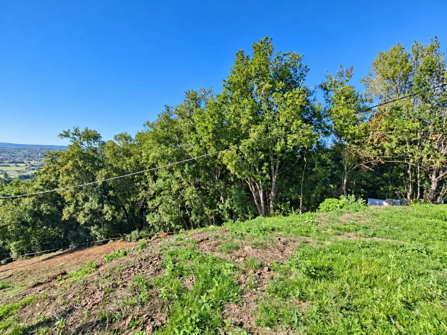 Terrain rustique à vendre à Camino de Caldones 2380