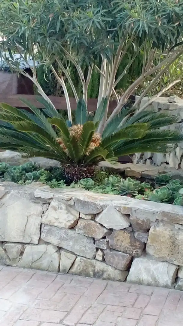 Jardín de Apartamento de alquiler en Vejer de la Frontera con Terraza