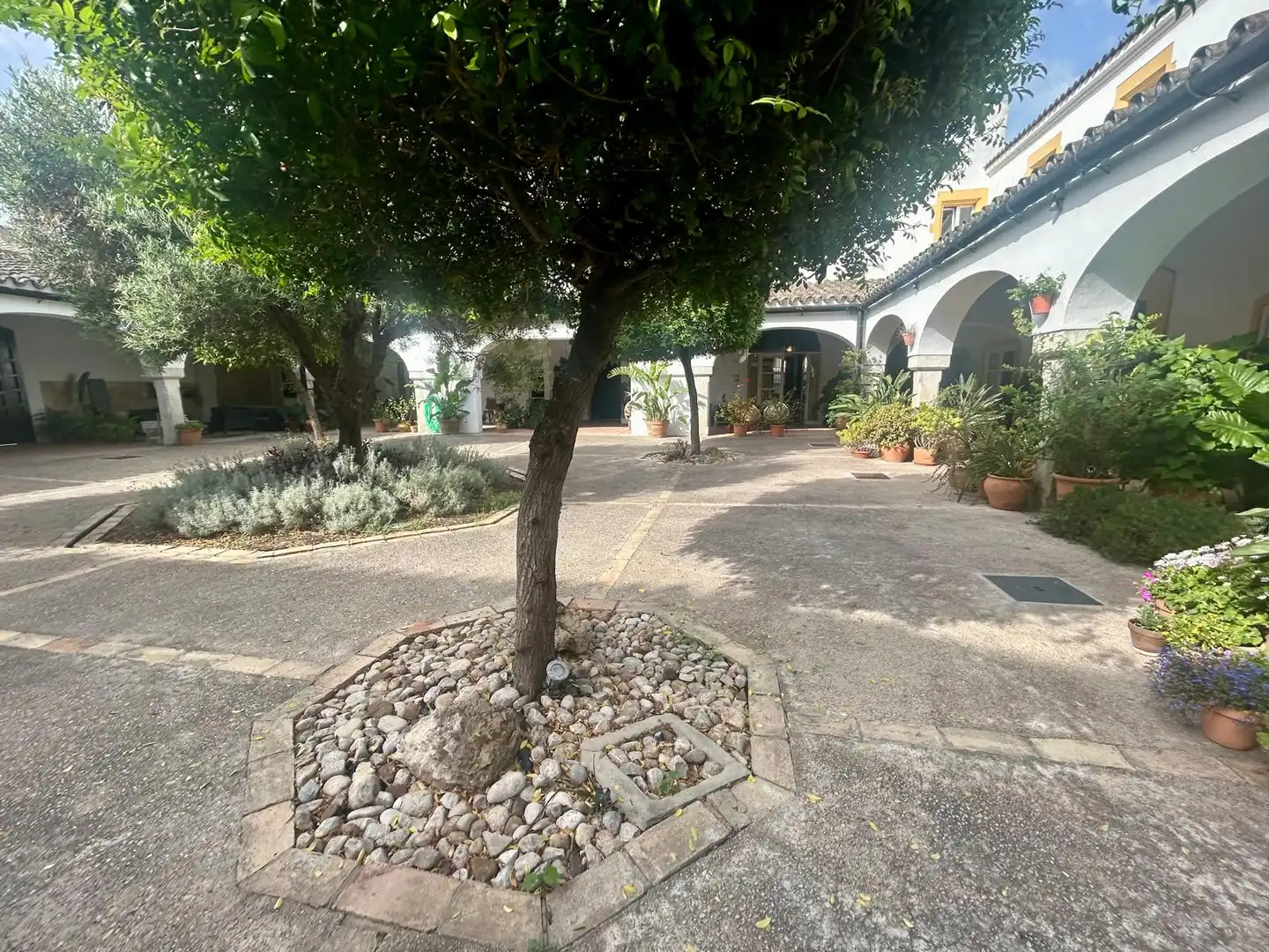 Jardín de Loft en venta en Jerez de la Frontera con Aire acondicionado y Terraza