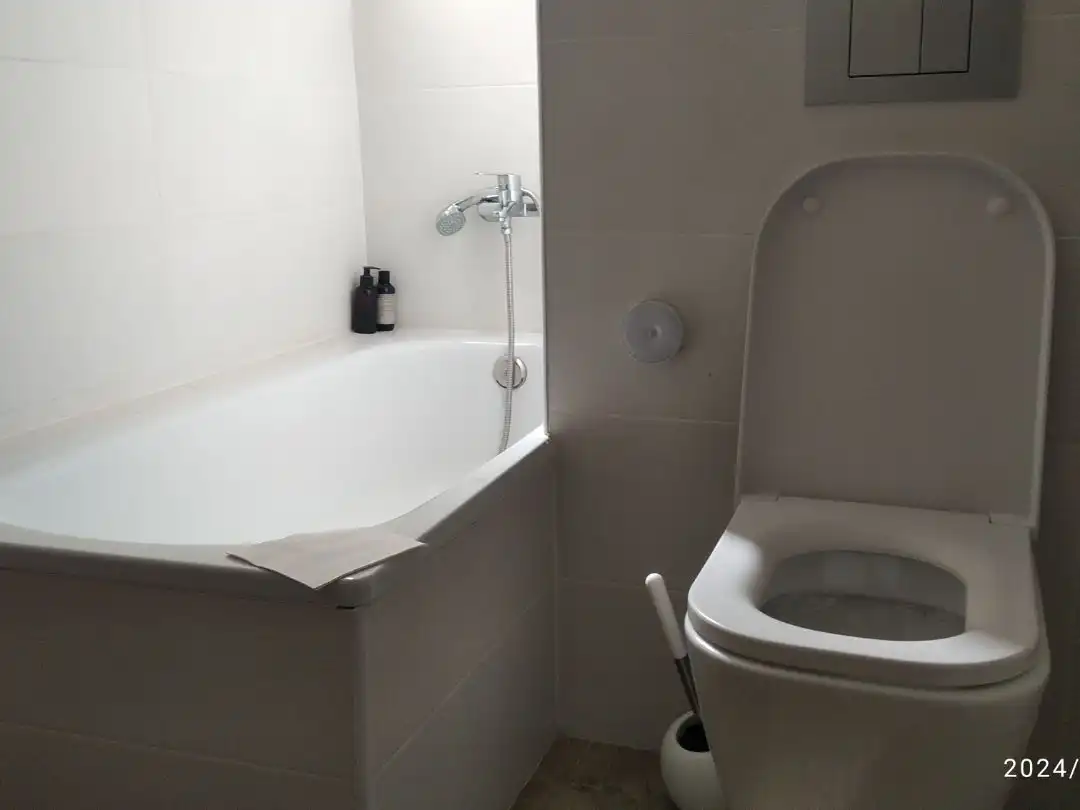 Bathroom of Flat for sale in La Guingueta d'Àneu, Lleida