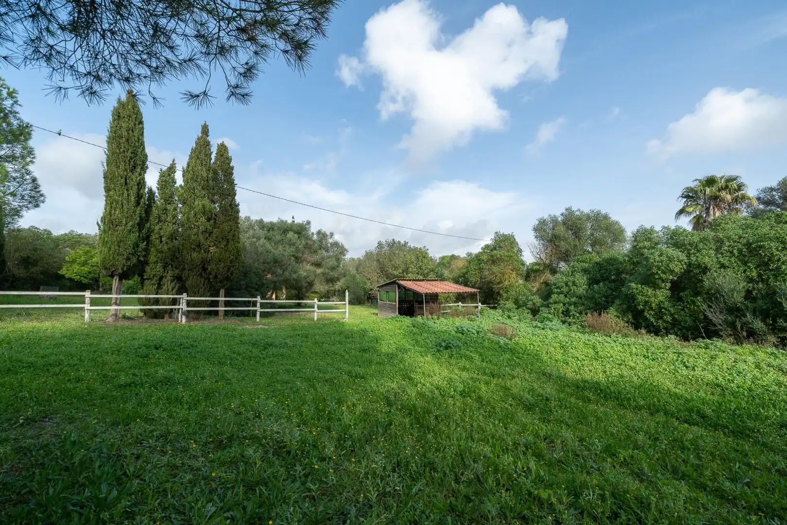 Casa rustica con piscina in vendita a Algaida, imagen 58