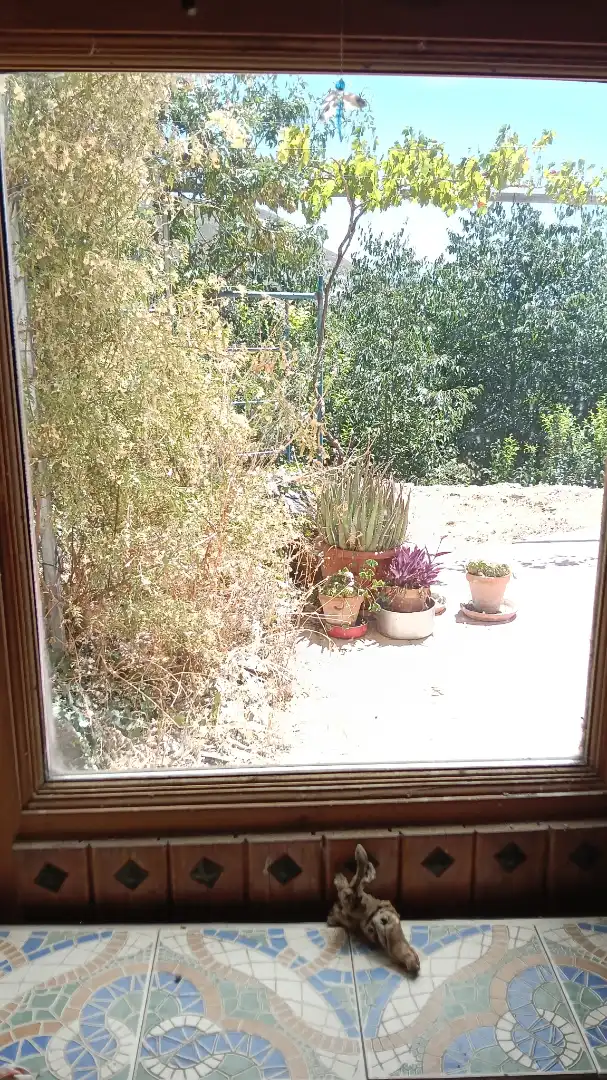 Jardí de Finca rústica en venda en Alpujarra de la Sierra amb Calefacció, Jardí privat i Moblat