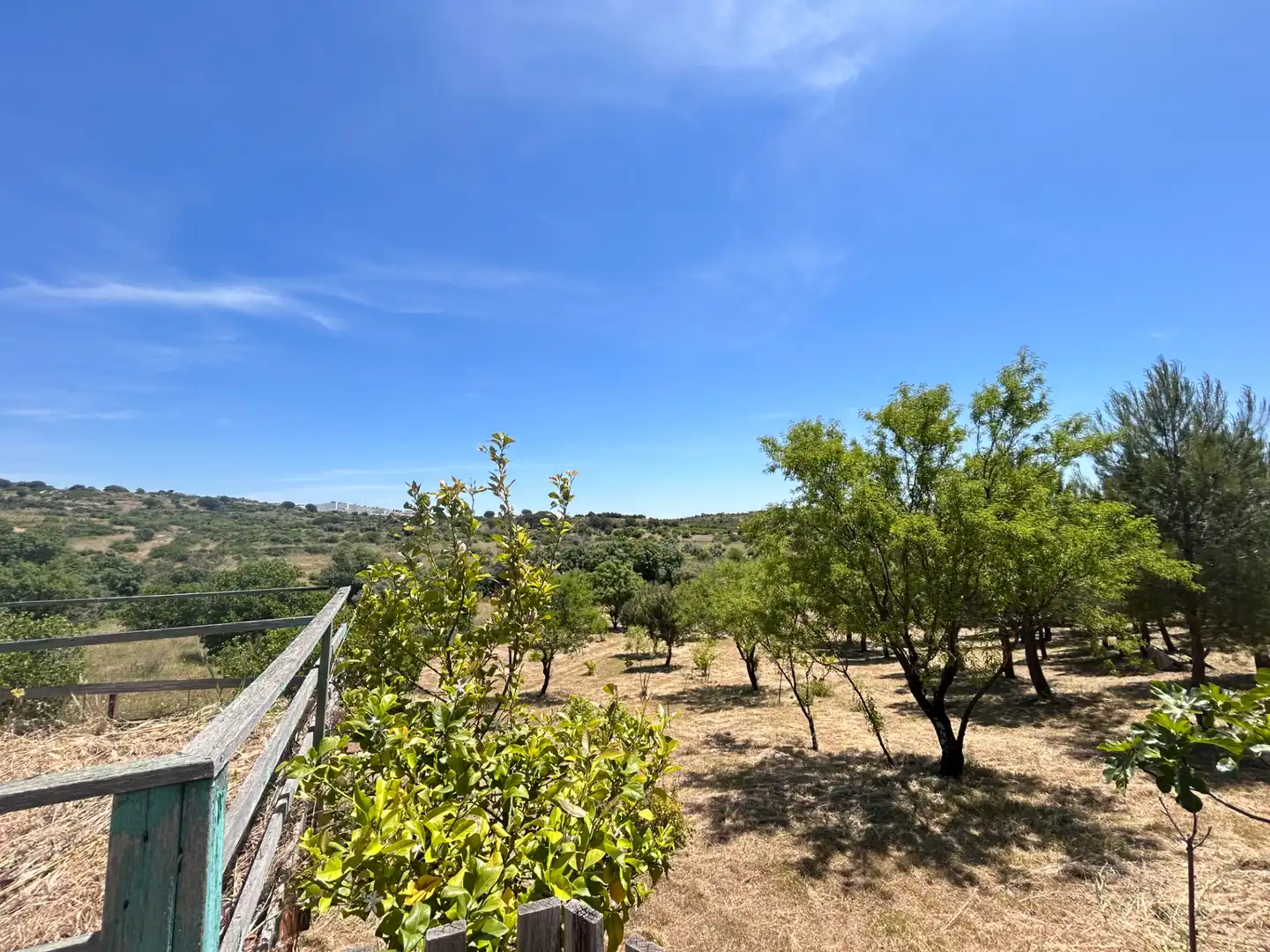 Finca rústica en venda en Cadalso de los Vidrios amb Jardí privat i Moblat