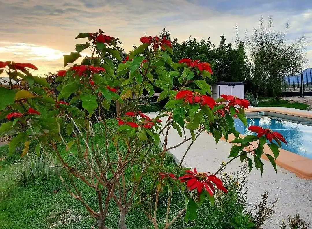 Casa con piscina en venta en POZO PALOS-DS MAGDALENA, imagen 5