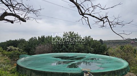 Foto 5 de Finca rústica en venta en N/a, Riudoms, Tarragona