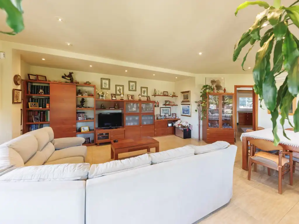 Sala de estar de Casa o chalet en venta en Santa Cristina d'Aro