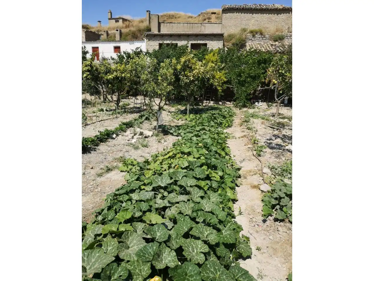 Jardín de Residencial en venta en Almudévar